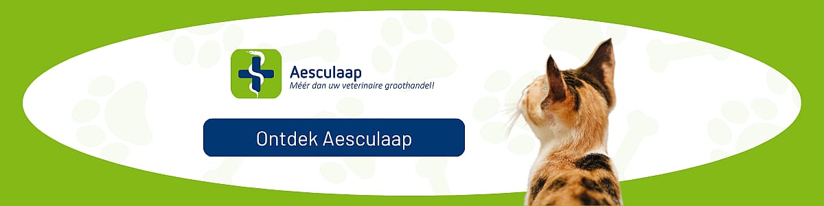 Dier, Kat, Zoogdier, Huisdier, Tekst, Dier, Kat, Zoogdier, Huisdier, Tekst